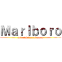 Ｍａｒｌｂｏｒｏ (selected finetobaccos)
