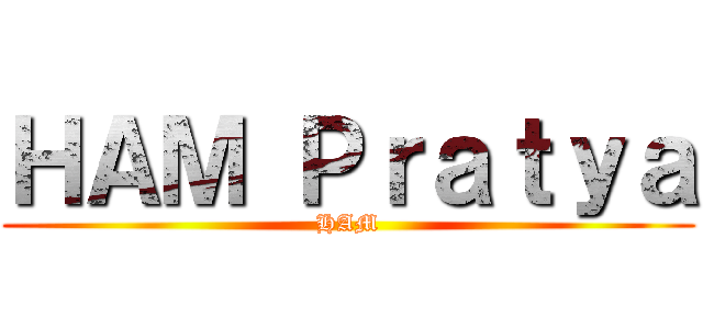 ＨＡＭ Ｐｒａｔｙａ (HAM)