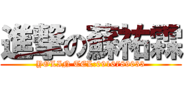 進撃の蘇祐霖 (YOLIN TEL:0916789033)