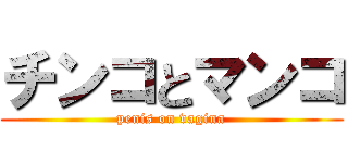 チンコとマンコ (penis on vagina)