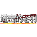 进击的老羽 (attack on bird)