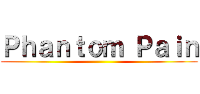 Ｐｈａｎｔｏｍ Ｐａｉｎ ()
