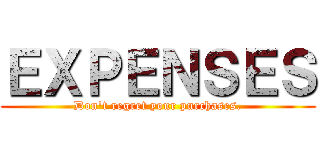 ＥＸＰＥＮＳＥＳ (Don't regret your purchases.)