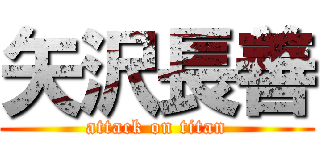 矢沢長善 (attack on titan)
