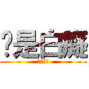 你是白癡 (你是白癡)