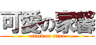 可愛の家馨 (attack on titan)