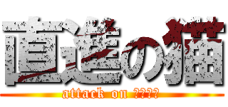 直進の猫 (attack on とぅさん)