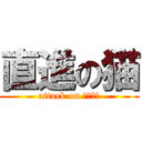 直進の猫 (attack on とぅさん)