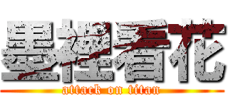 墨裡看花 (attack on titan)