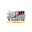 相冊 ()