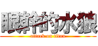 眼幹的水狼 (attack on titan)