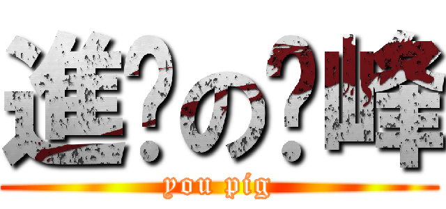 進擊の啟峰 (you pig)