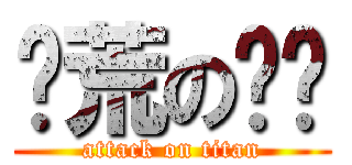 饥荒の鲫鱼 (attack on titan)