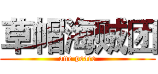 草帽海贼团 (one peace)