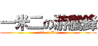 一米二の游騰鋒 (120 on Bug)