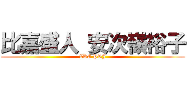 比嘉盛人 安次嶺裕子 (ZDC PRJ)