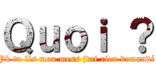 Ｑｕｏｉ ？ (Pk tu lis mon mess jtai rien demandé)