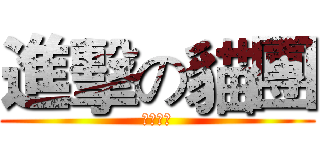 進擊の貓團 (貓之領域)