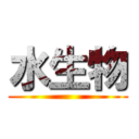 水生物 ()