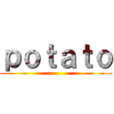 ｐｏｔａｔｏ ()