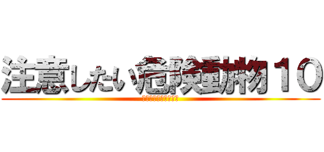 注意したい危険動物１０ (アズクリエイト研修会)