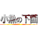 小魚の下面 (完全沒有)