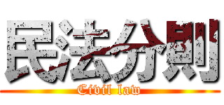 民法分則 (Civil law)