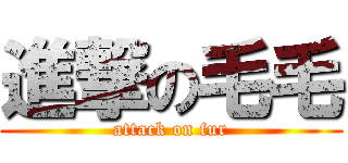 進撃の毛毛 (attack on fur)