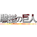 駿榤の巨人 (attack on titan)