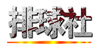 排球社 ()
