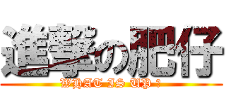 進撃の肥仔 (WHAT IS UP ?)