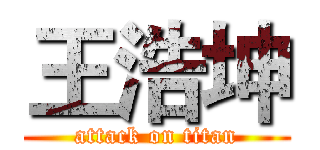 王浩坤 (attack on titan)