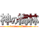 神の梅林 (kami no Mārin)