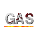 ＧＡＳ ()