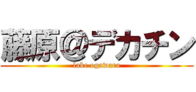 藤原＠デカチン (lake ogawara)