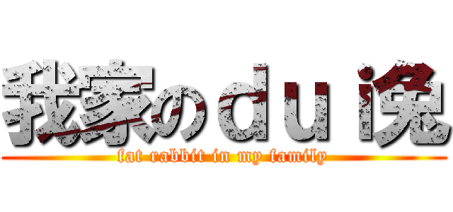 我家のｄｕｉ兔 (fat rabbit in my family)