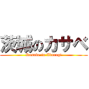 茨城のカサベ (Kasabe in Ibaragi)