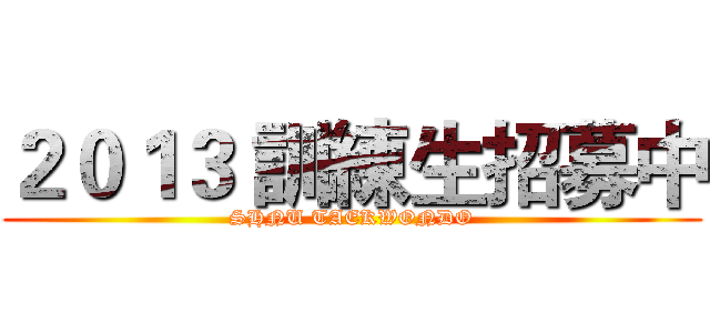 ２０１３ 訓練生招募中 (SHNU TAEKWONDO)
