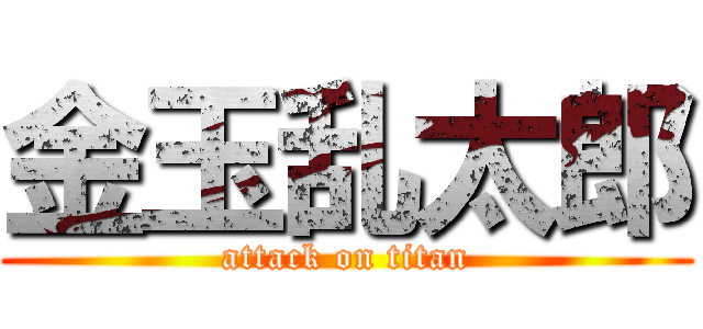 金玉乱太郎 (attack on titan)