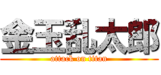 金玉乱太郎 (attack on titan)