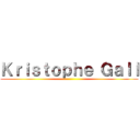 Ｋｒｉｓｔｏｐｈｅ Ｇａｌｌ ()