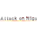 Ａｔｔａｃｋ ｏｎ Ｎｉｇｓ ()