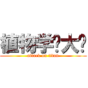 植物学你大爷 (attack on titan)