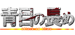 青目の長め (attack on titan)