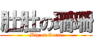 肚肚の珊珊 (Big on Coral)