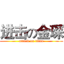 进击の金琛 (attack on titan)