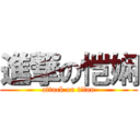 進撃の恺娴 (attack on titan)