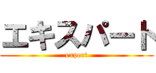 エキスパート (expert)