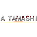 Ａ ＴＡＭＡＳＨＩ (A TAMASHI)