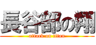 長谷部の翔 (attack on titan)